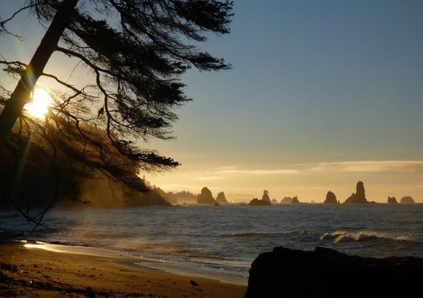 Third Beach, Washington, USA